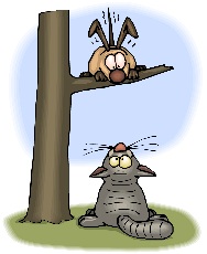 Cat, wondering why the dog is in a tree